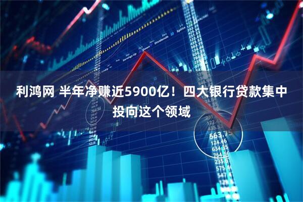 利鸿网 半年净赚近5900亿！四大银行贷款集中投向这个领域