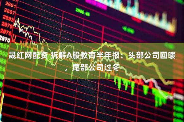 晟红网配资 拆解A股教育半年报：头部公司回暖，尾部公司过冬