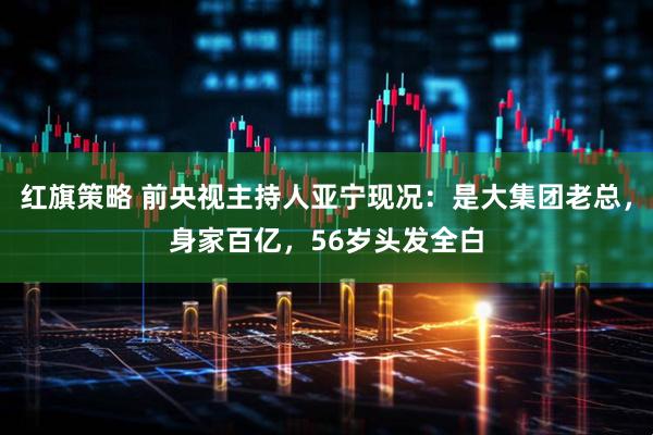 红旗策略 前央视主持人亚宁现况：是大集团老总，身家百亿，56岁头发全白