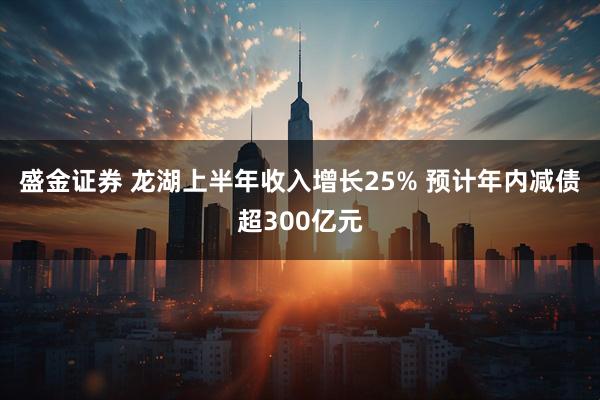 盛金证券 龙湖上半年收入增长25% 预计年内减债超300亿元